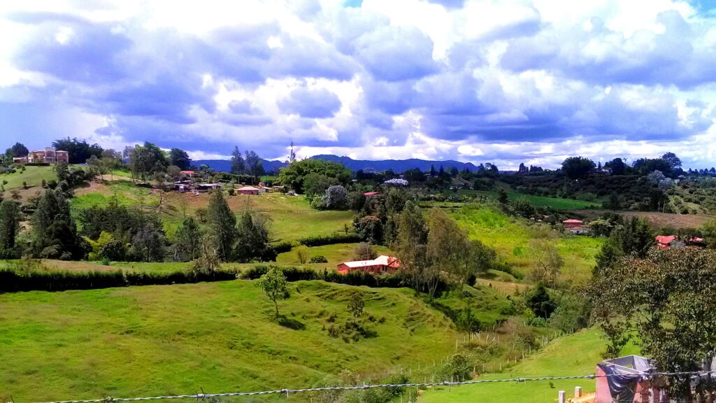 ayuhuasca in colombia