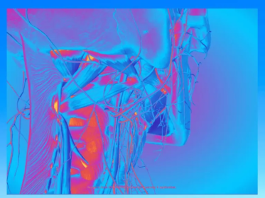 breathwork for vagus nerve toning