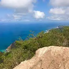 things-to-do-sayulita-monkey-mountain – Unity Breathwork top things to do in sayulita, monkey mountain